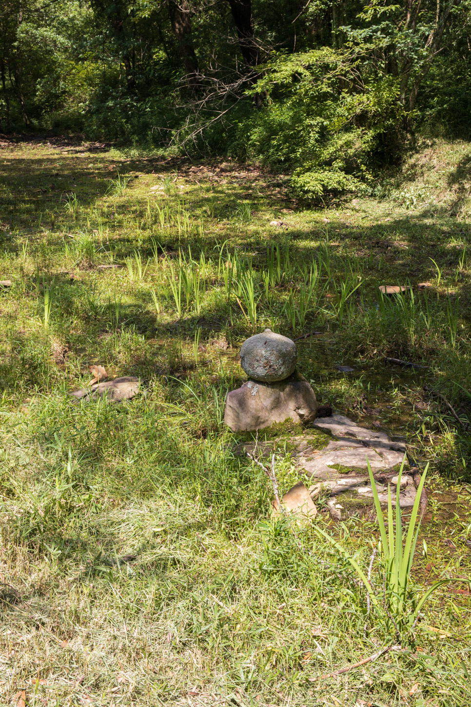 令和2年 龍王社例祭 …… 竜王池