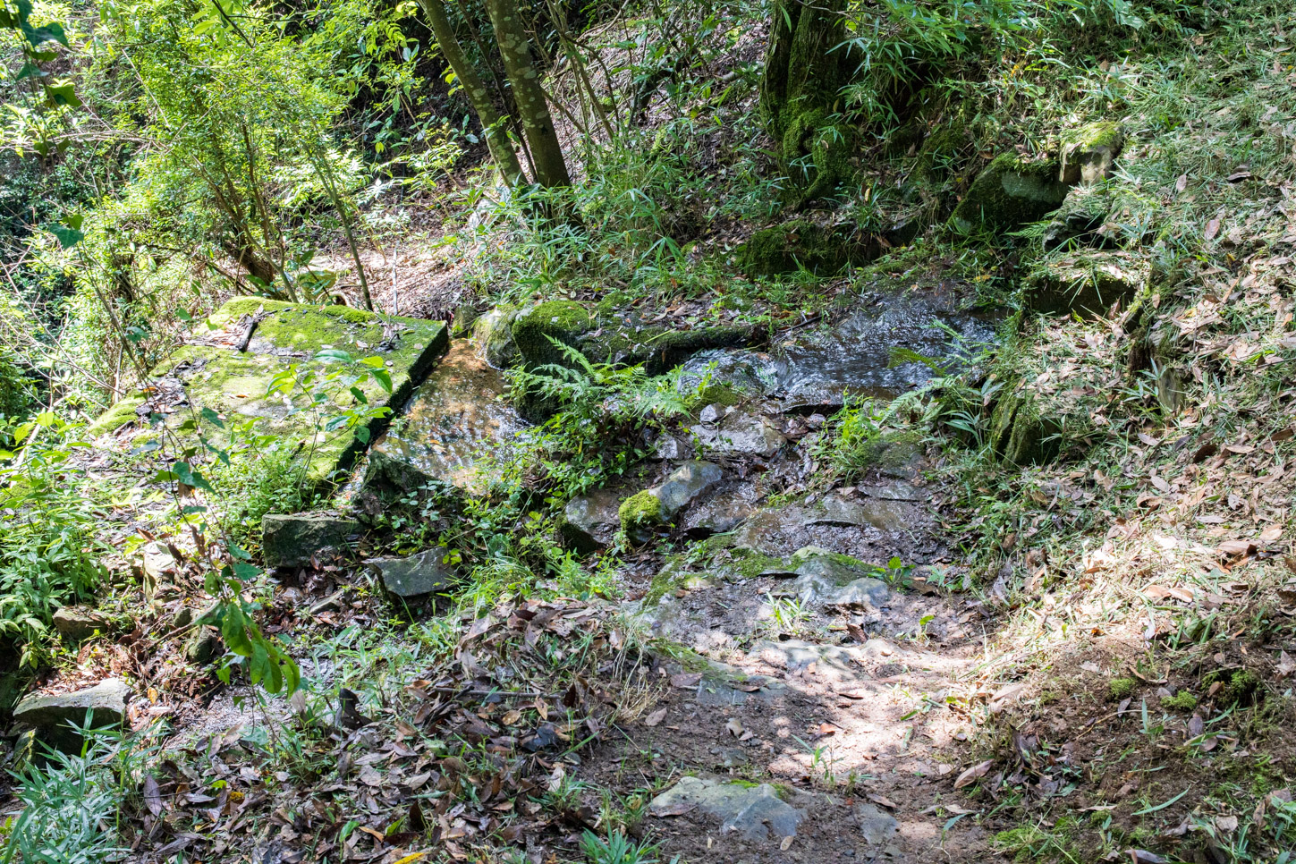 令和2年 龍王社例祭 …… 竜王池の湧き水