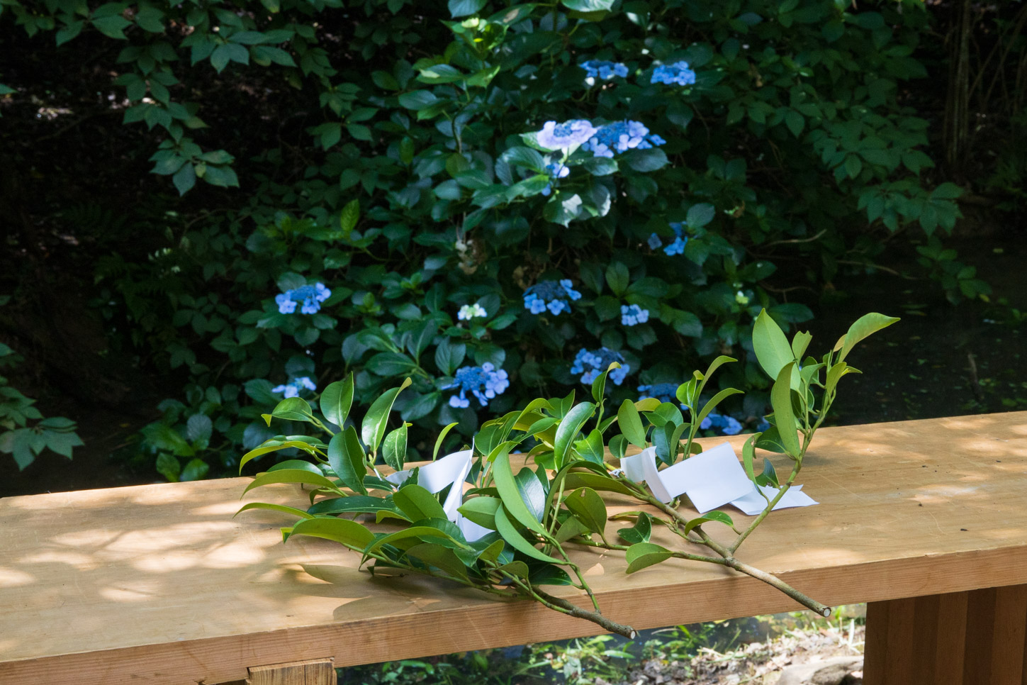 令和2年 龍王社例祭