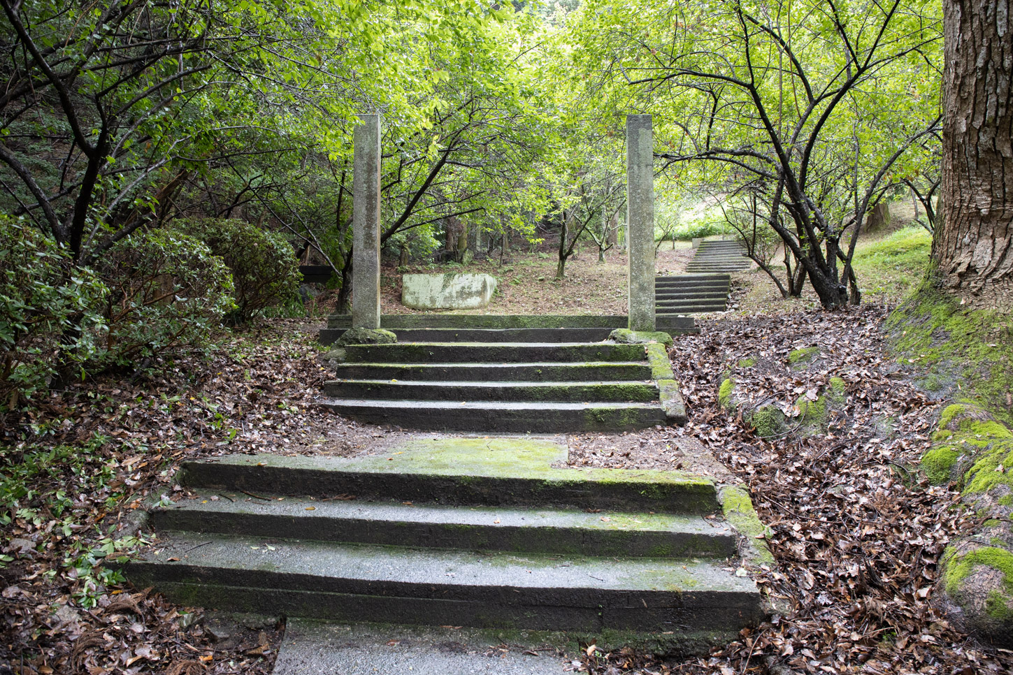 令和2年 菅原神社例祭 …… 菅原神社が鎮座する愛宕山の参道の注連柱