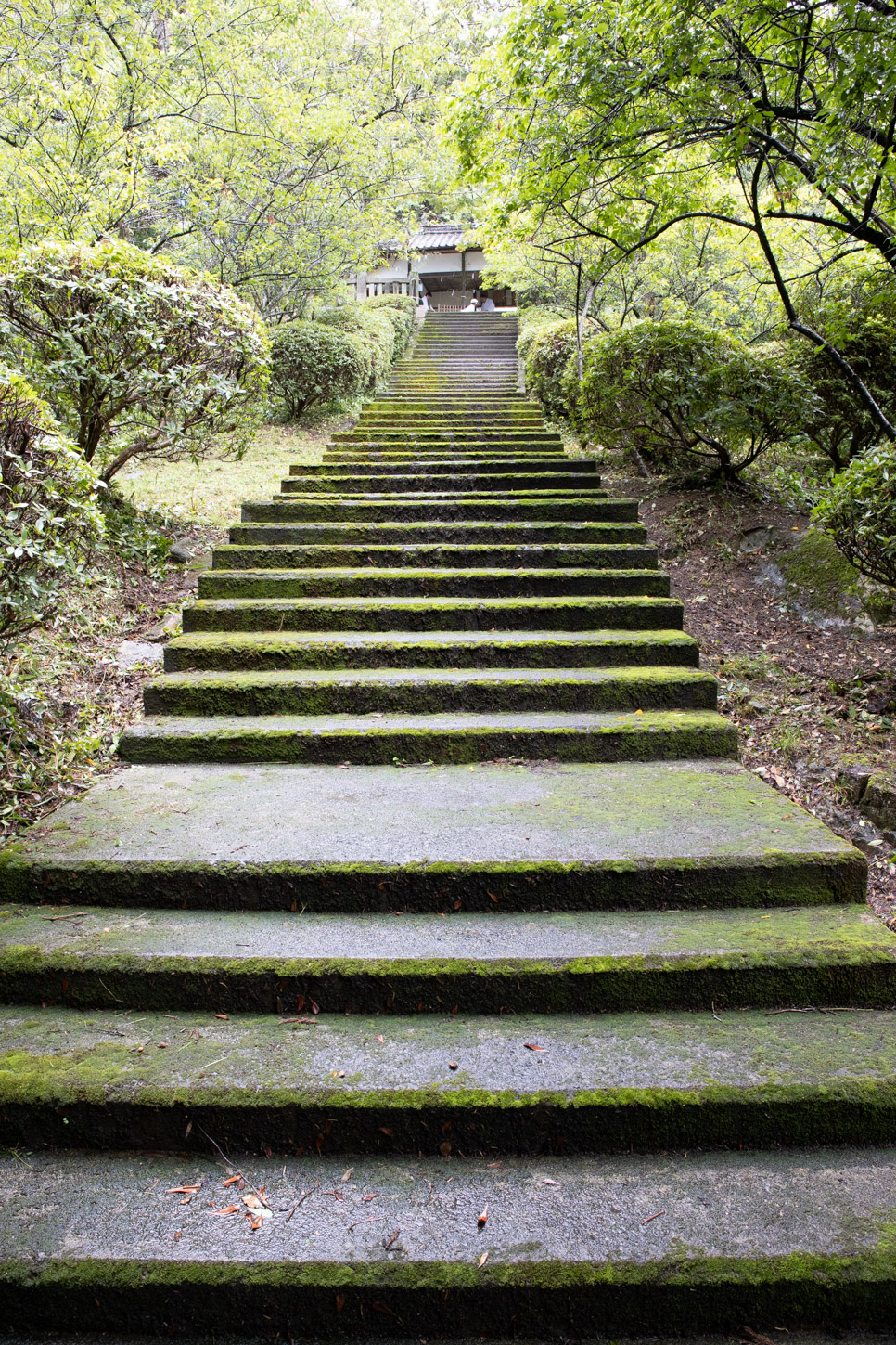 令和2年 菅原神社例祭 …… 菅原神社が鎮座する愛宕山の参道