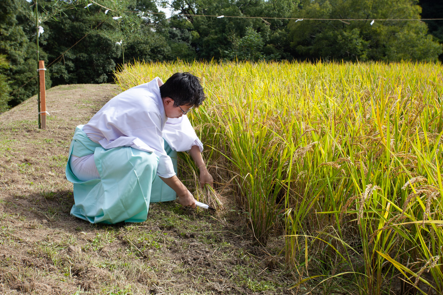 令和2年 抜穂祭