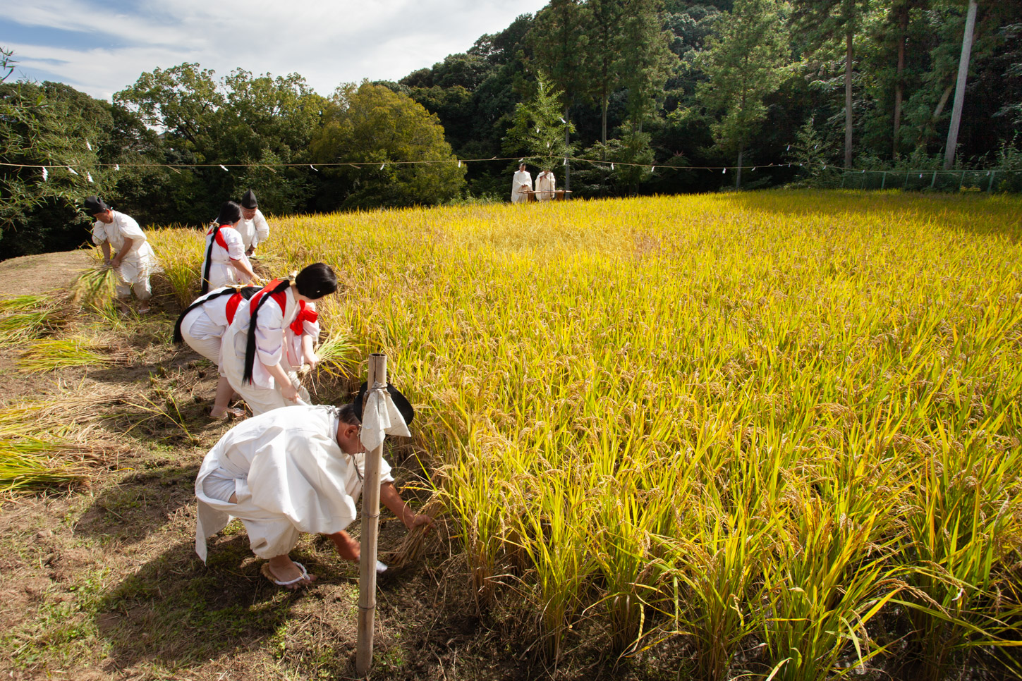 令和2年 抜穂祭