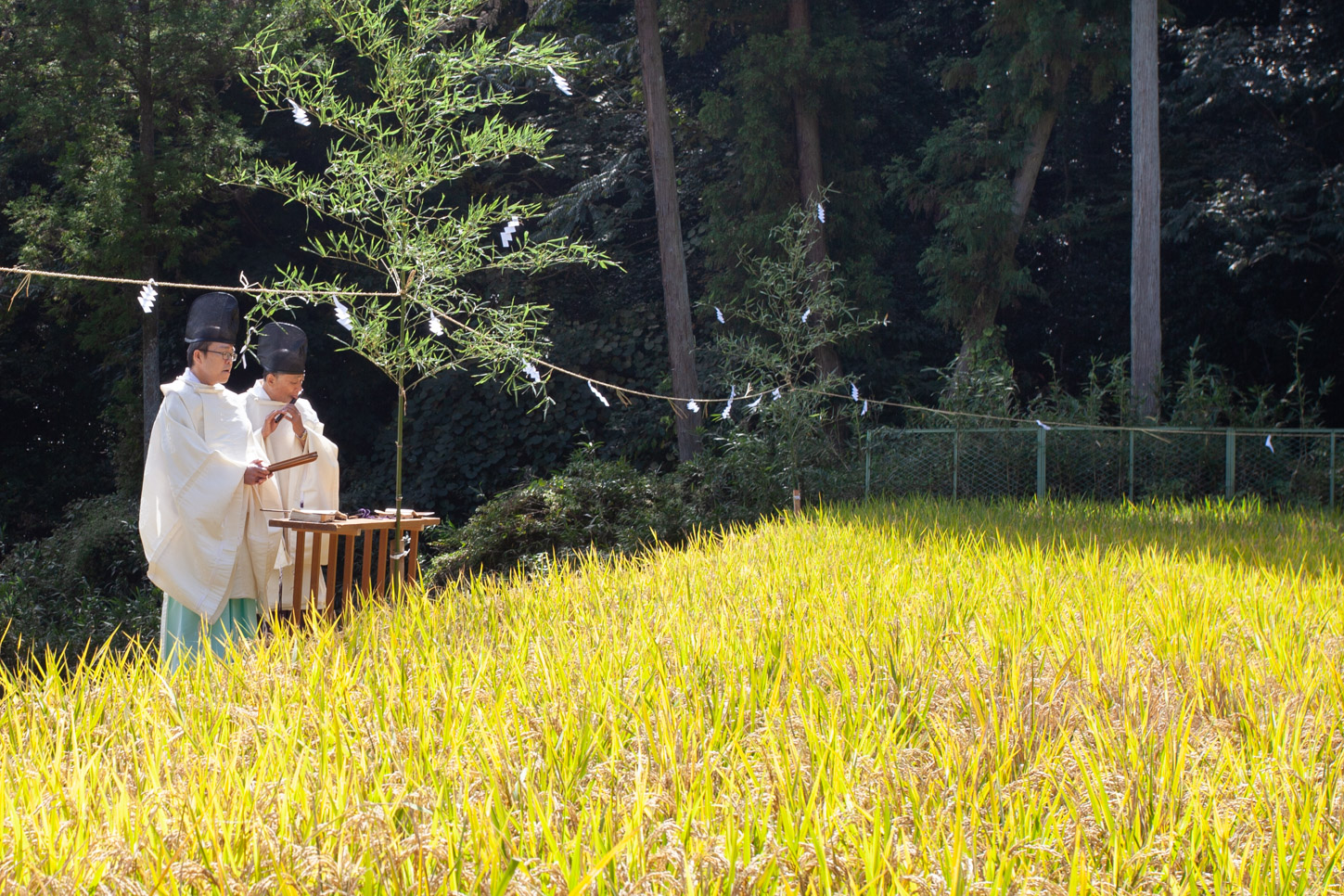 令和2年 抜穂祭