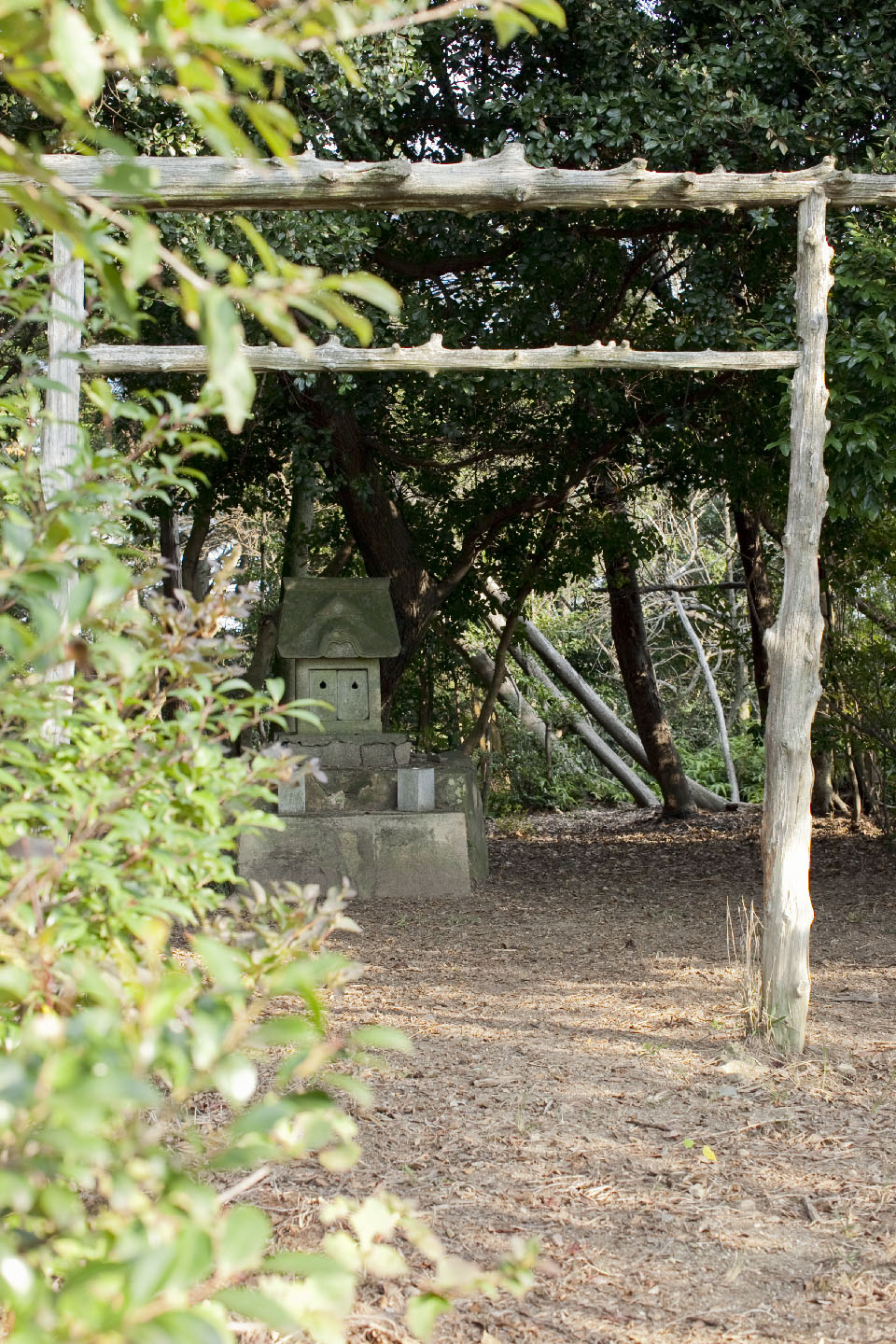 愛宕山（琴平町）山頂の様子（平成21年 撮影）