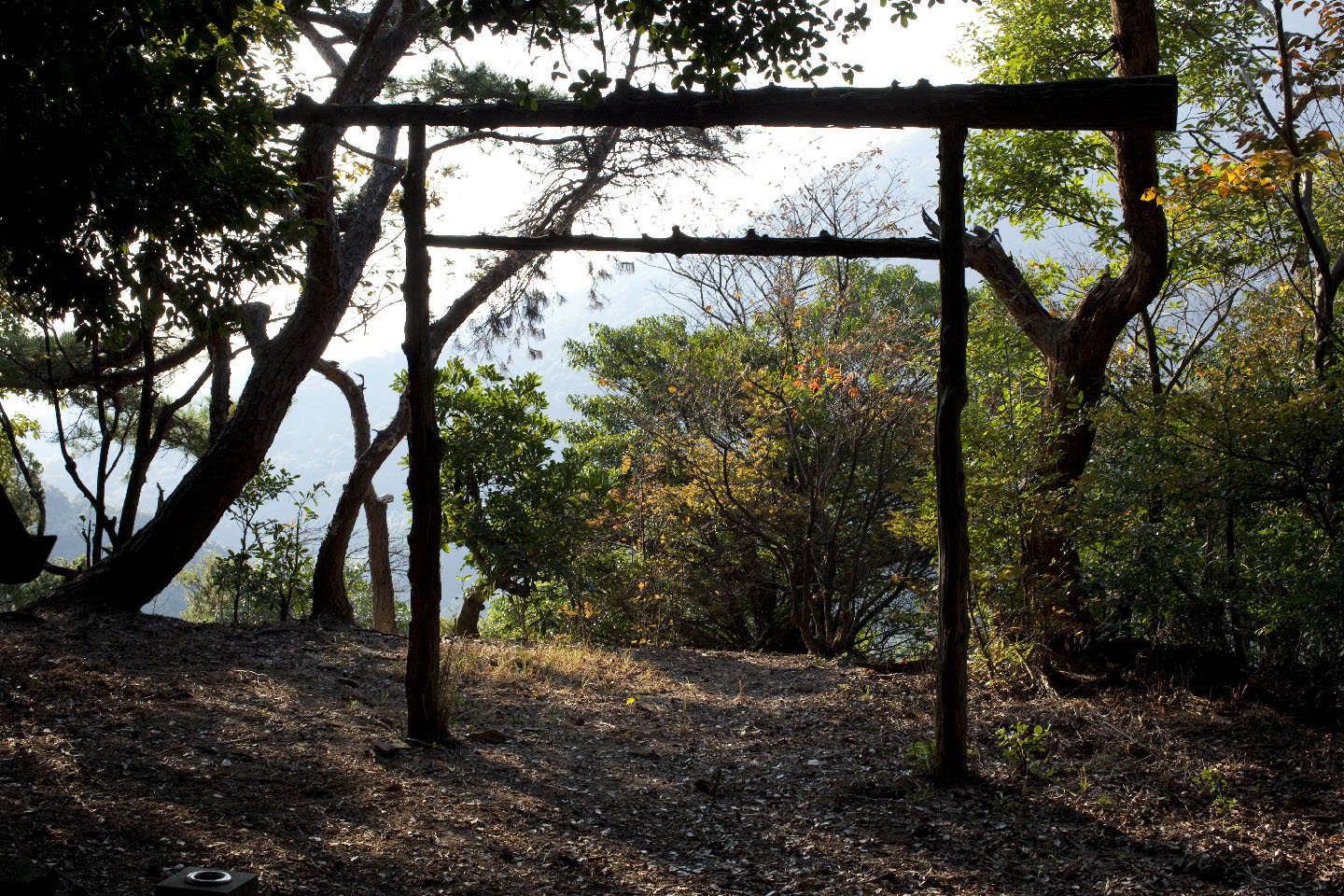 愛宕山（琴平町）山頂の様子（平成21年 撮影）