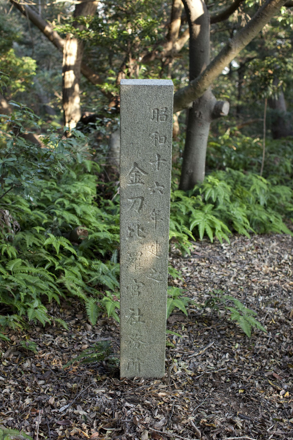 愛宕山（琴平町）山頂の様子（平成21年 撮影）