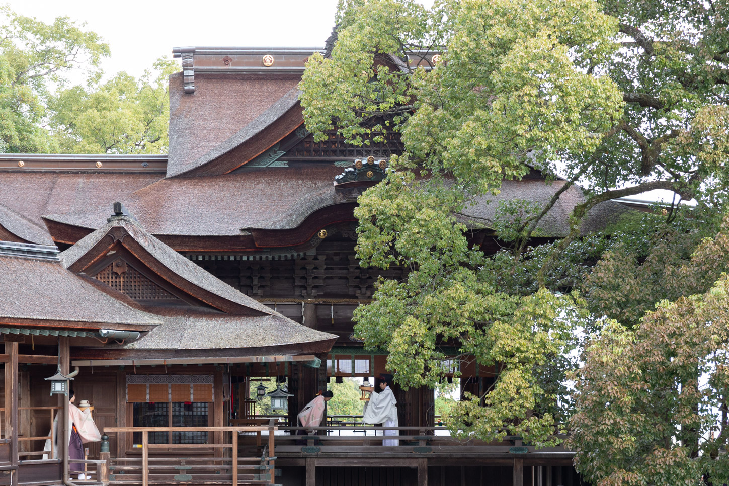 令和2年 紅葉祭