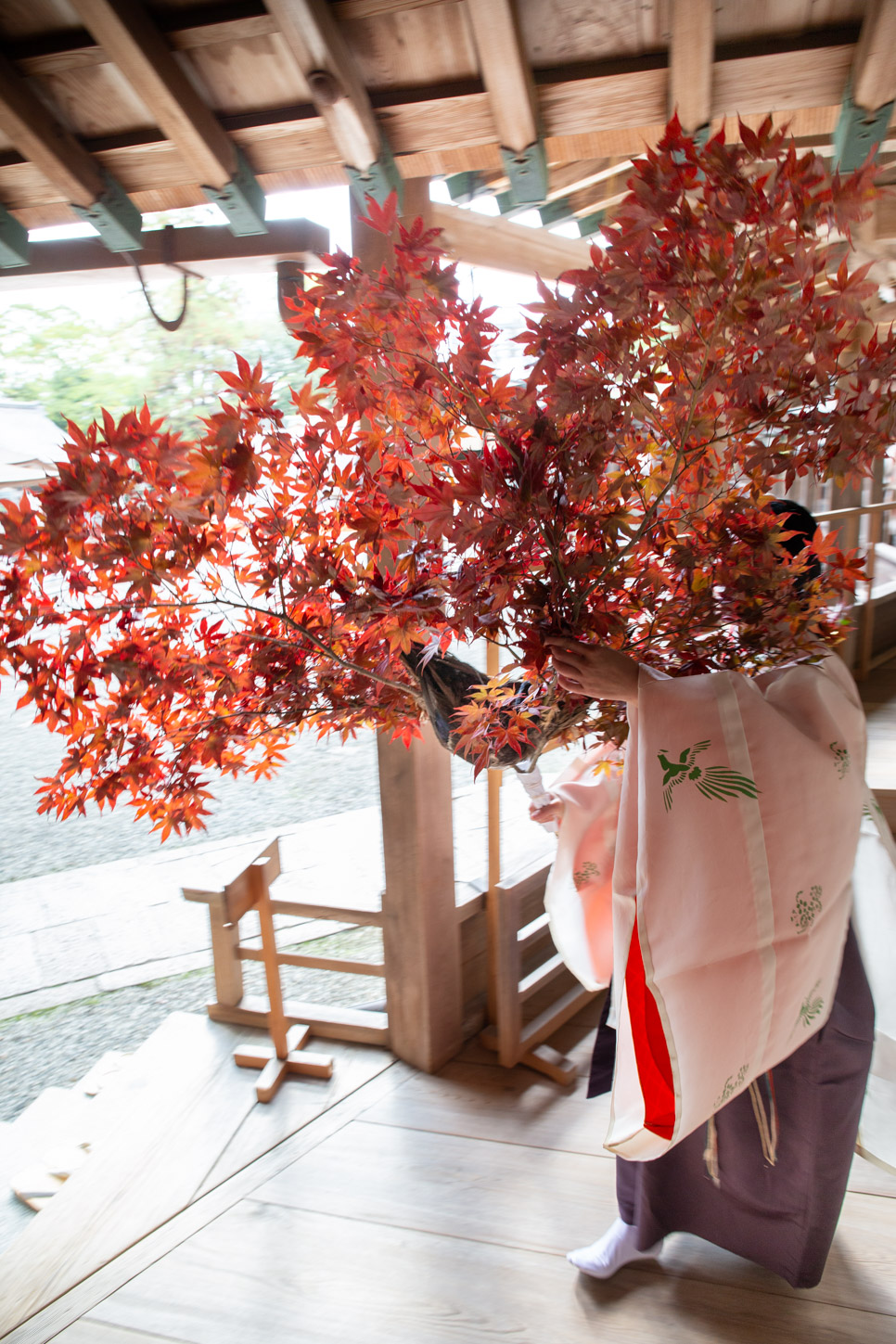 令和2年 紅葉祭