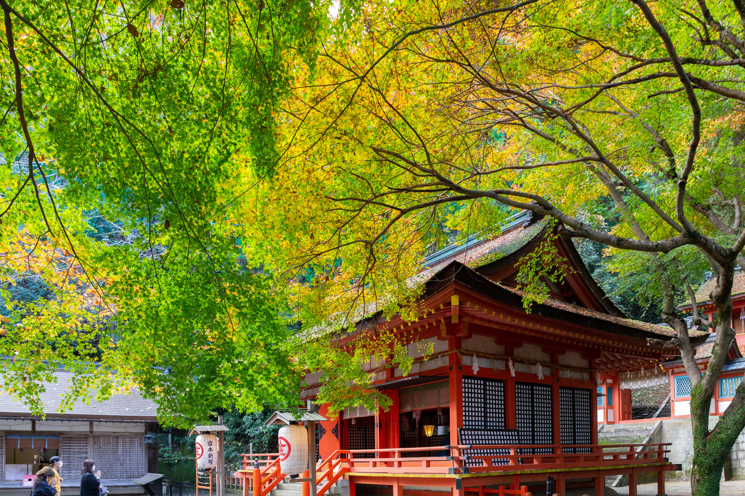 令和2年 新嘗祭（白峰神社）