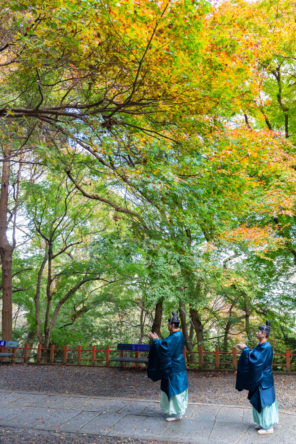 令和2年 新嘗祭（白峰神社）…… 厳魂神社（奥社）遥拝