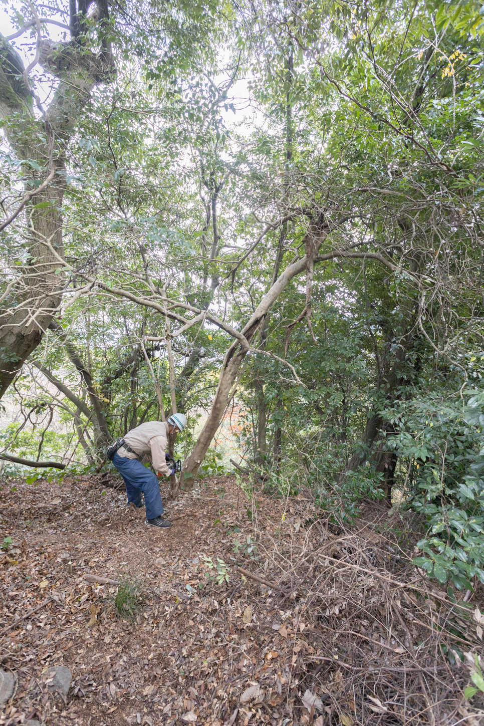令和2年 御年木伐神事