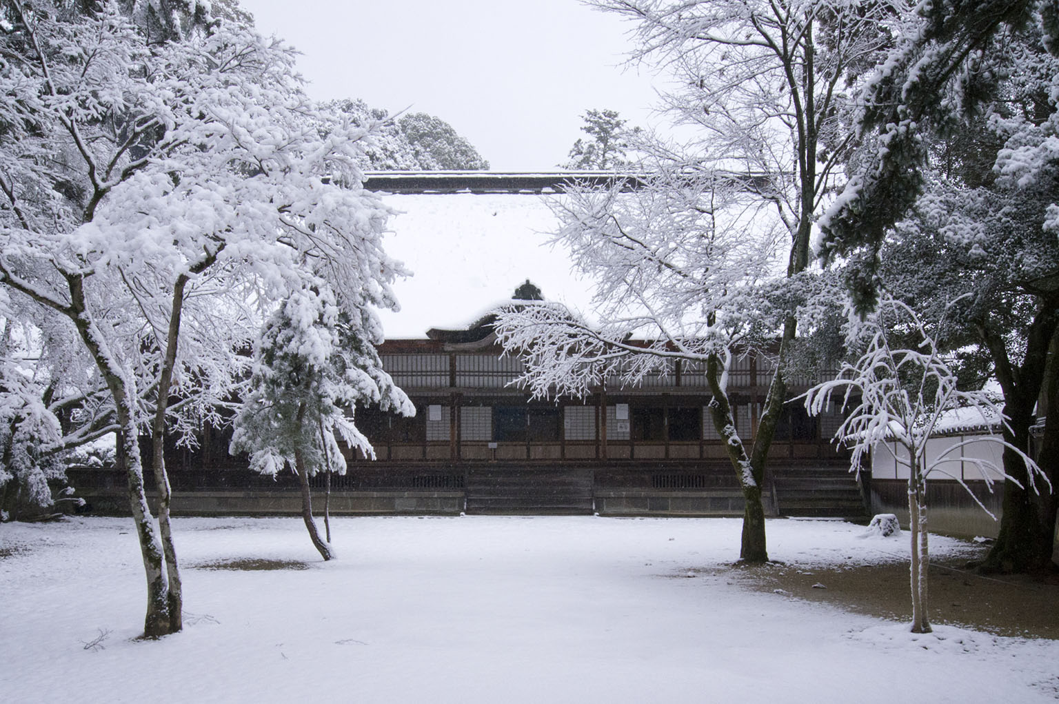 表書院 雪景色