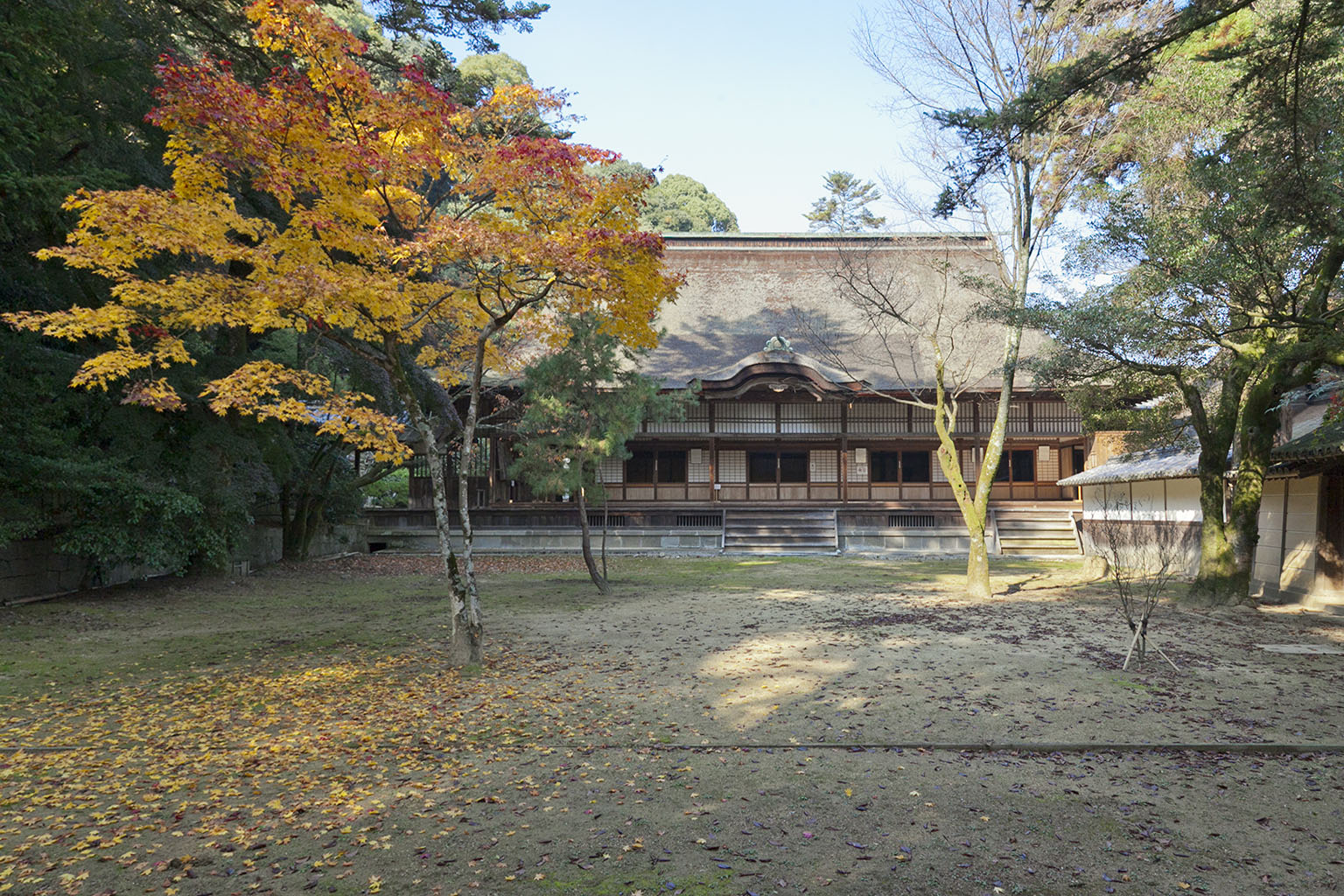 表書院 紅葉