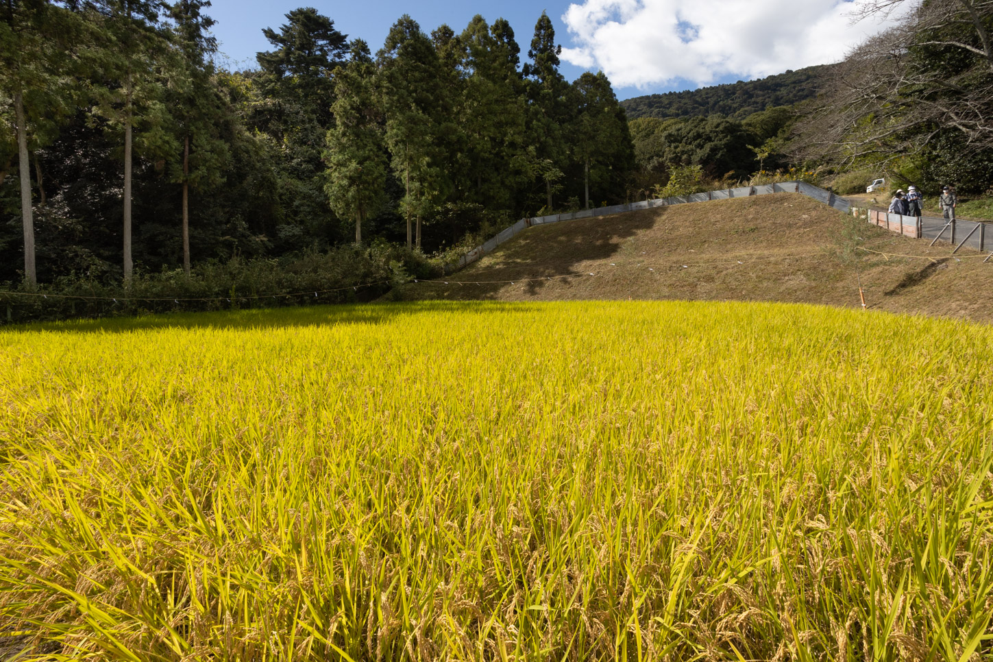 令和3年 抜穂祭