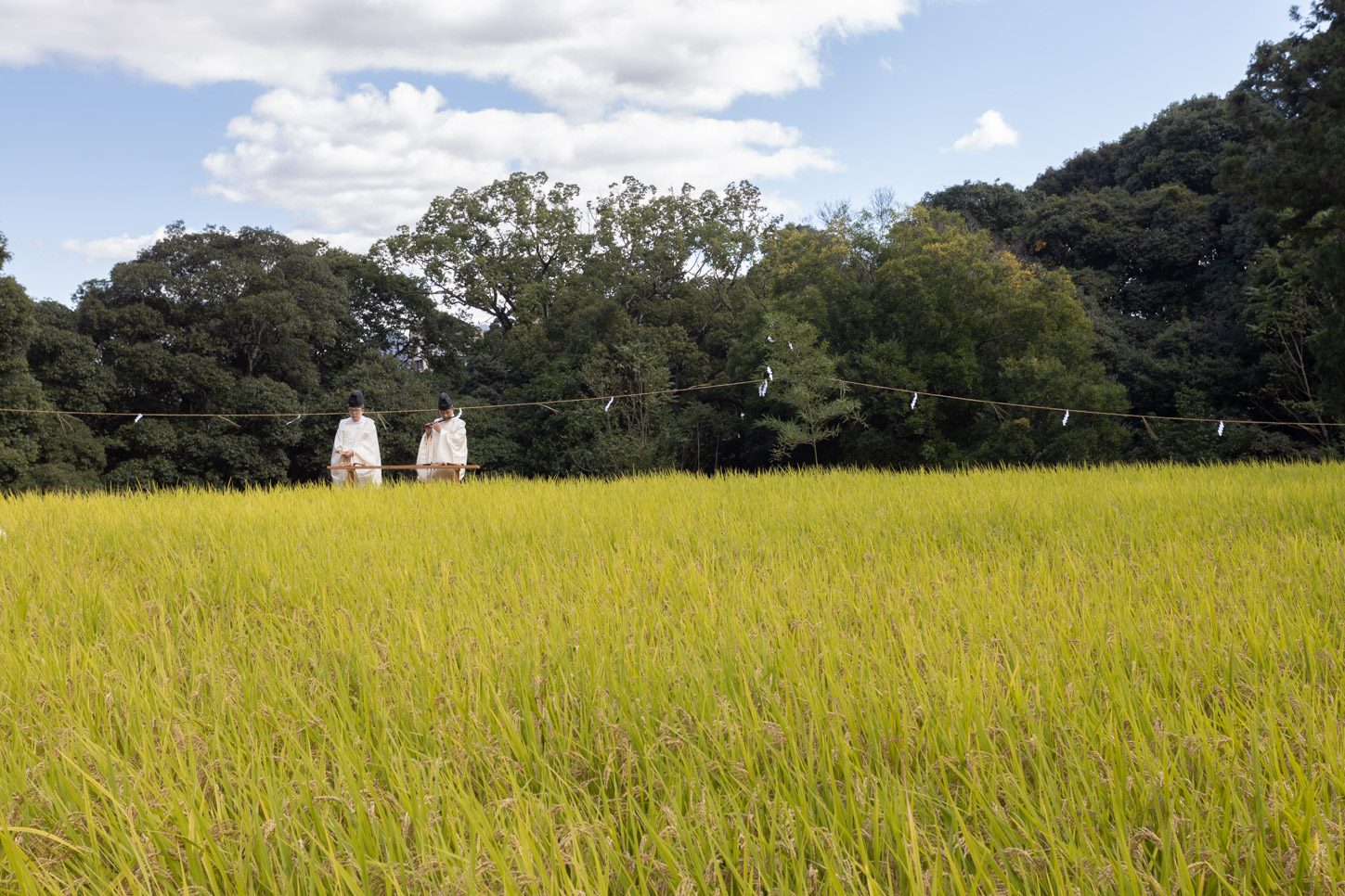 令和3年 抜穂祭