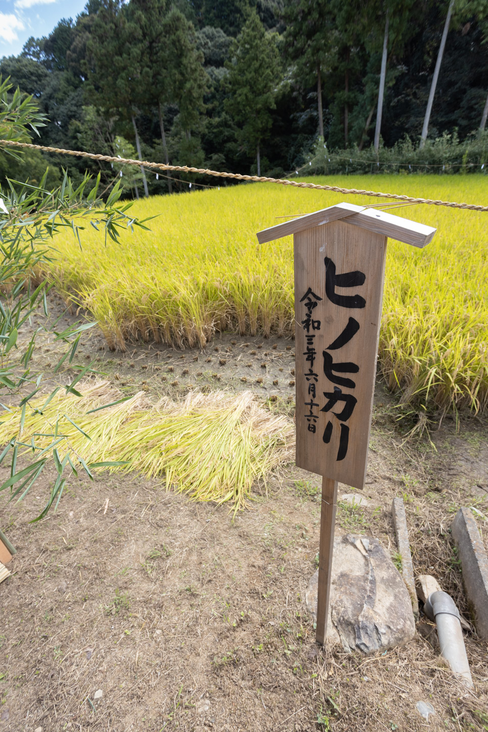 令和3年 抜穂祭