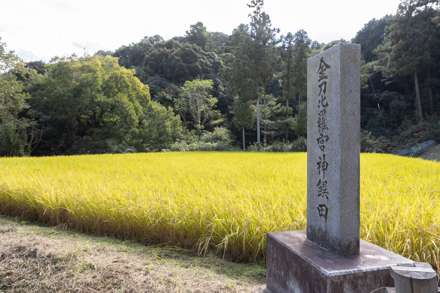 令和3年 抜穂祭
