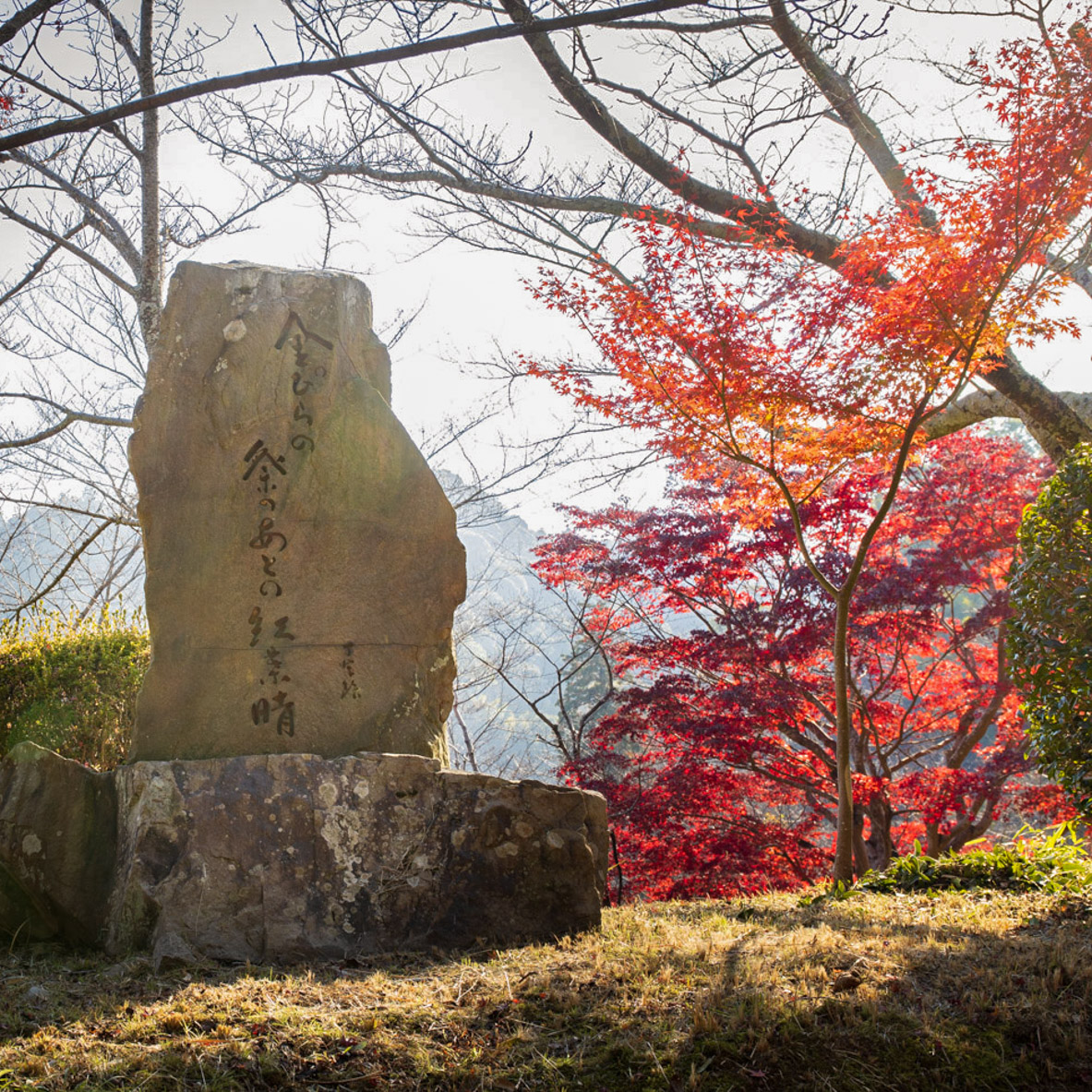 金刀比羅宮の紅葉
