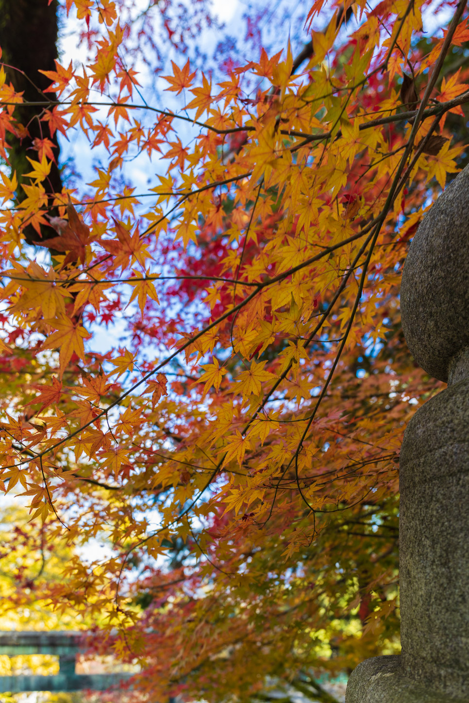 金刀比羅宮の紅葉