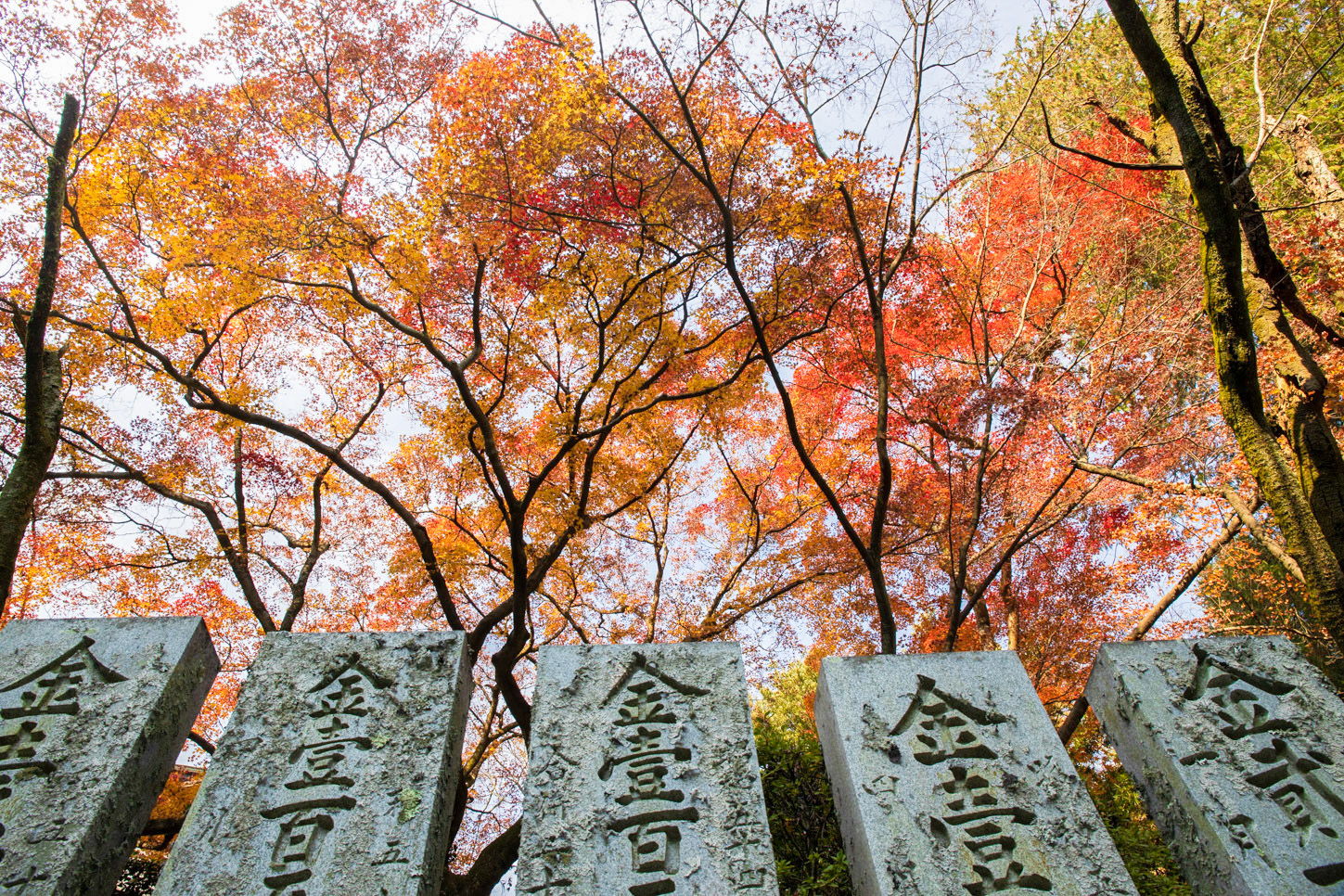 金刀比羅宮の紅葉