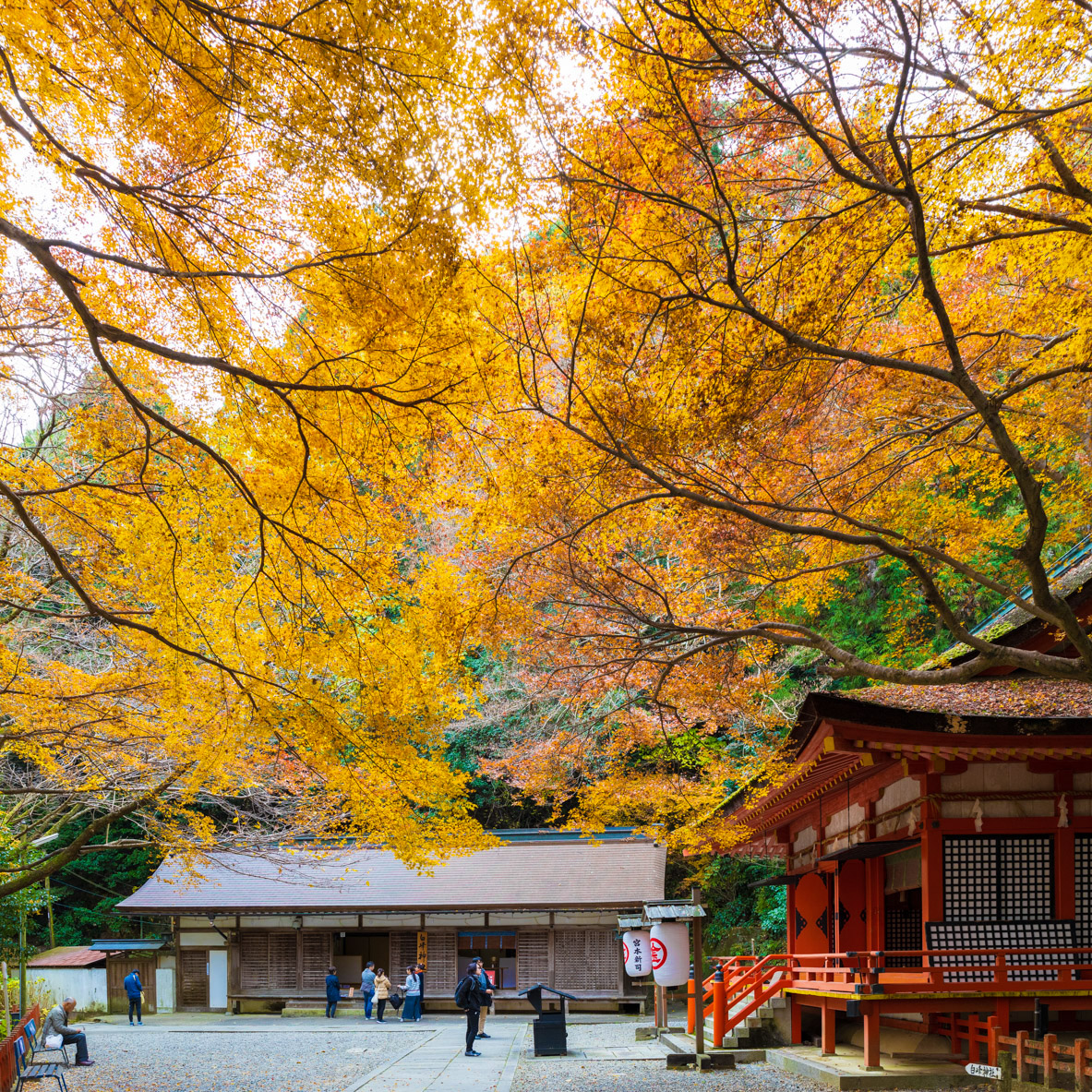 金刀比羅宮の紅葉