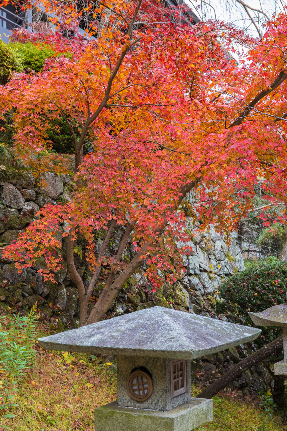 金刀比羅宮の紅葉