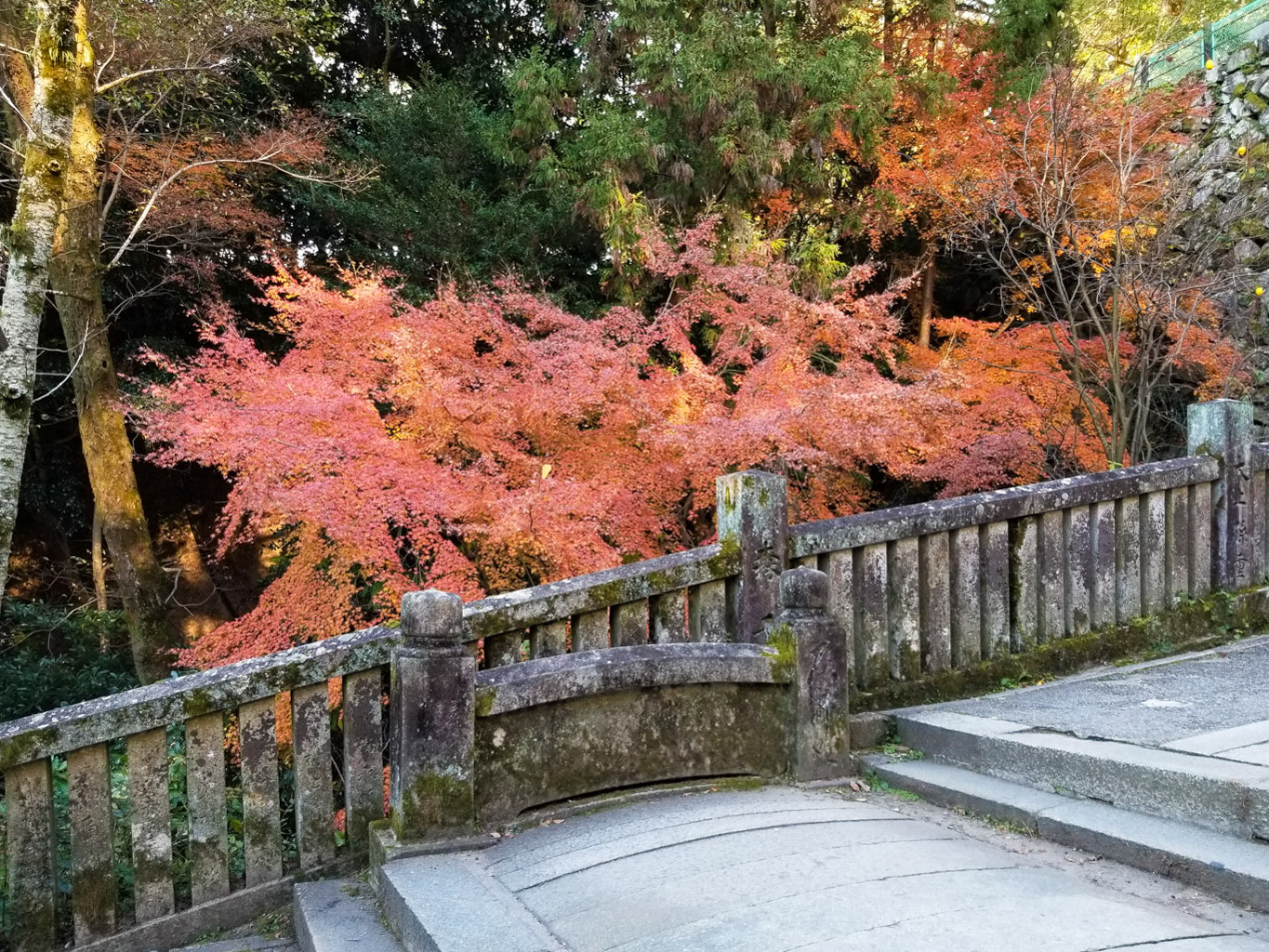 金刀比羅宮の紅葉
