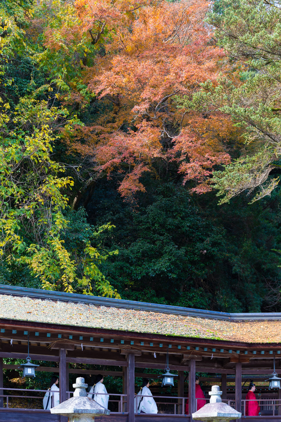 令和3年 新嘗祭