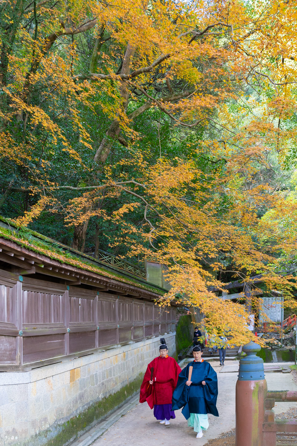 令和3年 新嘗祭 …… 御本宮の紅葉