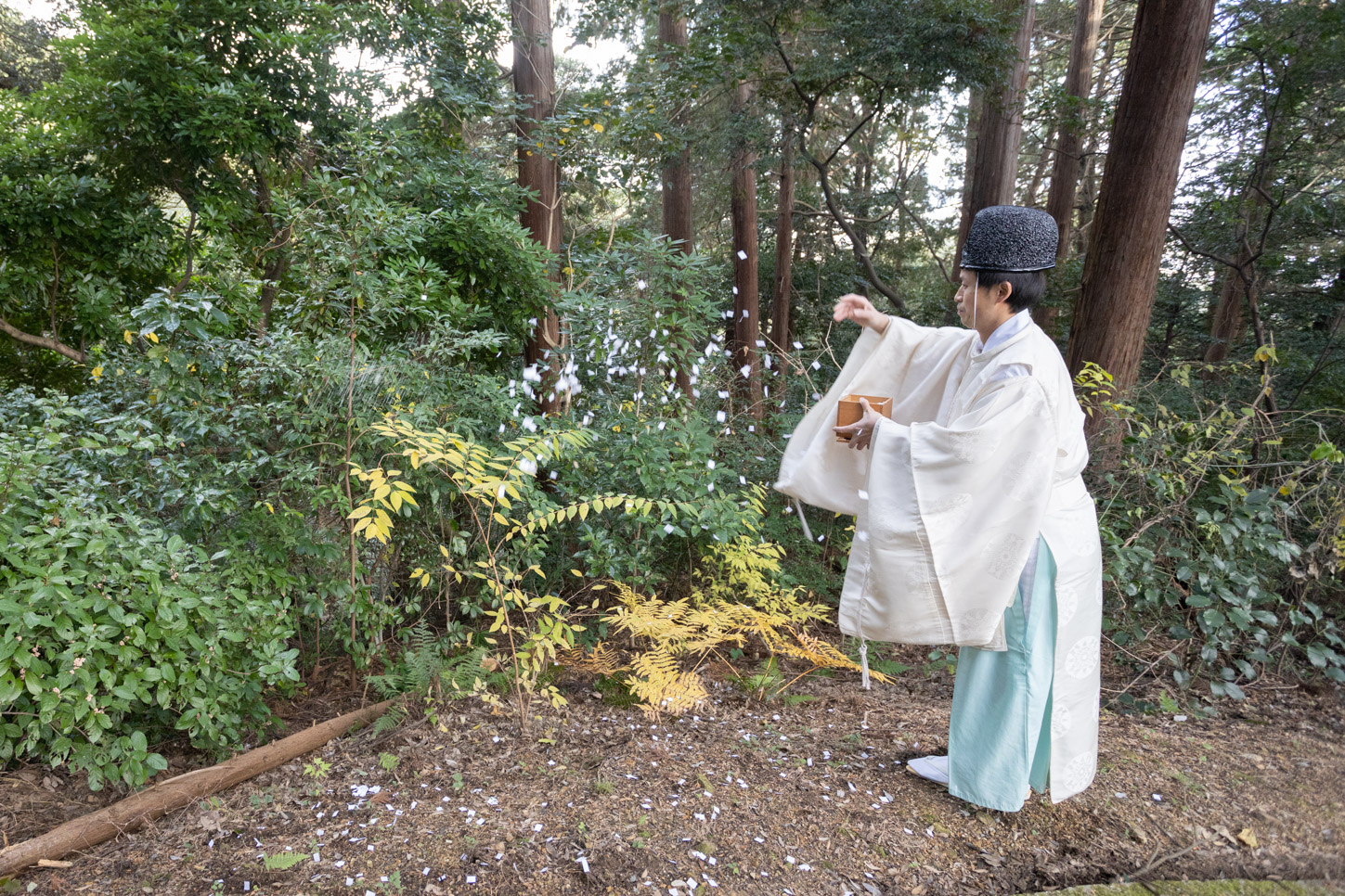 令和3年 御年木伐神事
