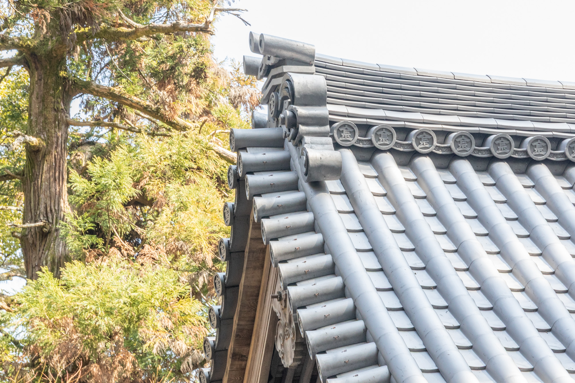 修繕された幽深殿