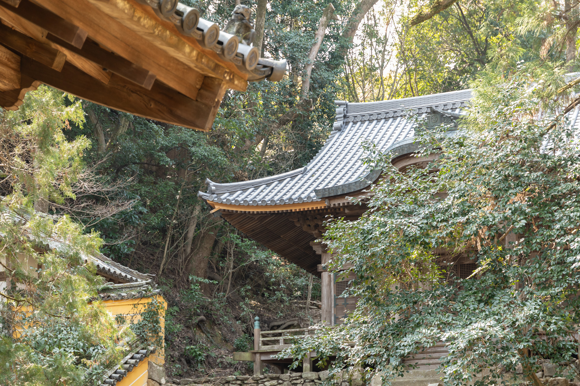 修繕された幽深殿