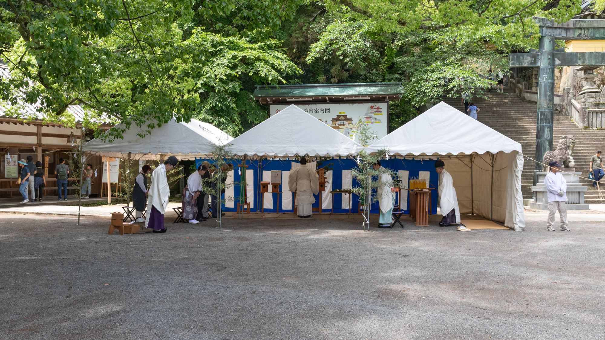 白平号 献馬式