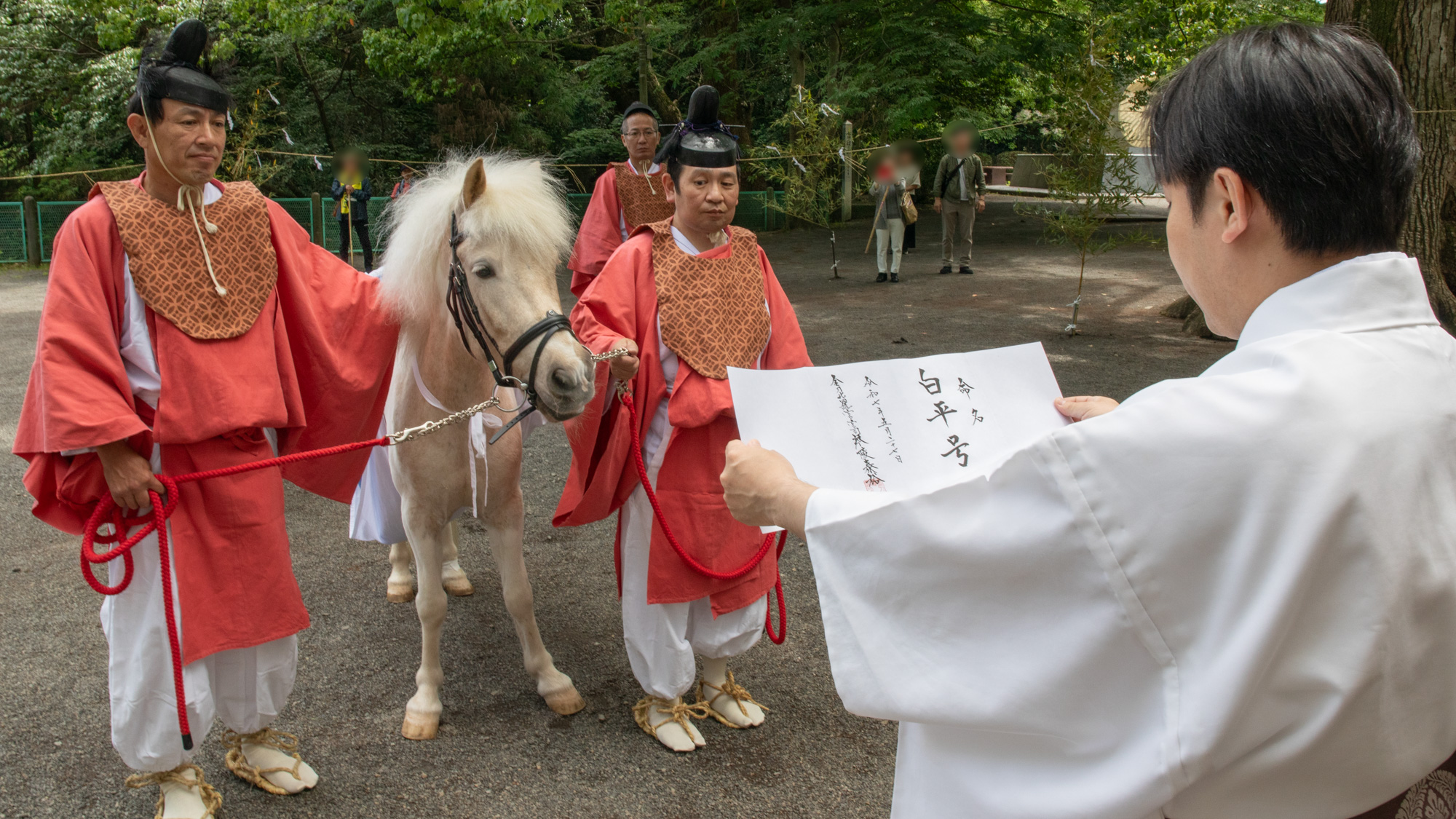 白平号 献馬式（命名式）