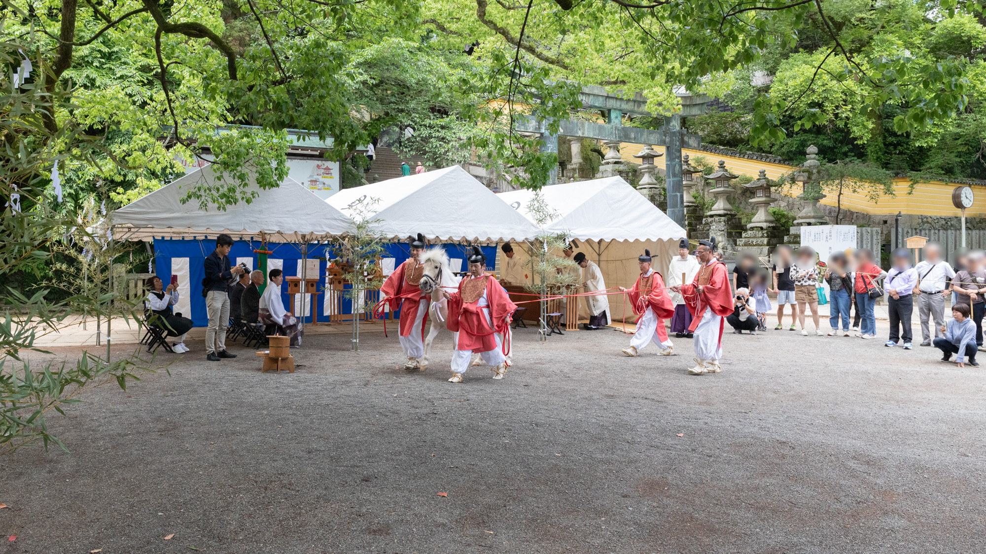 白平号 献馬式（献馬の儀）