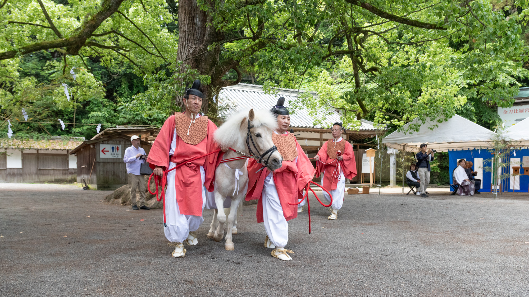 白平号 献馬式（献馬の儀）