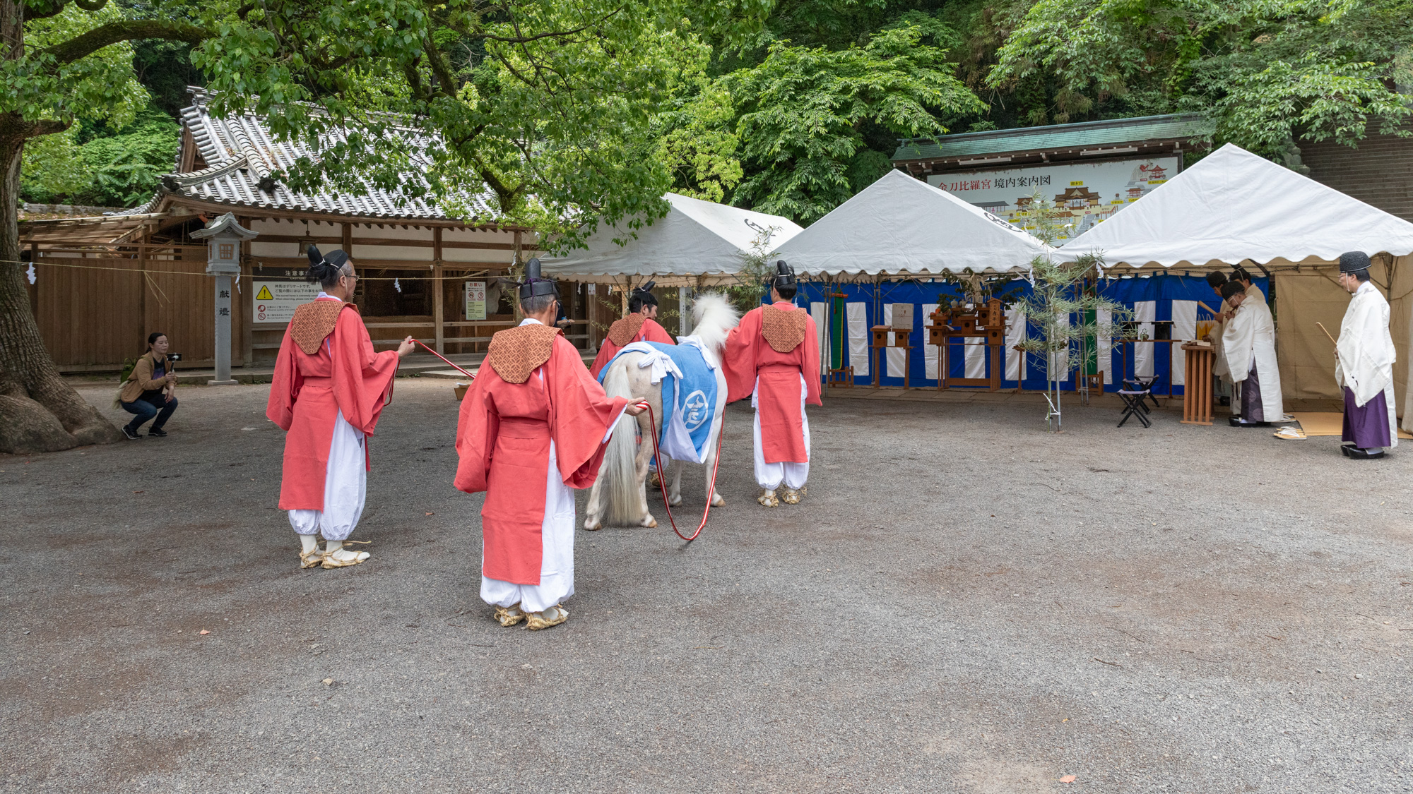 白平号 献馬式（献馬の儀）