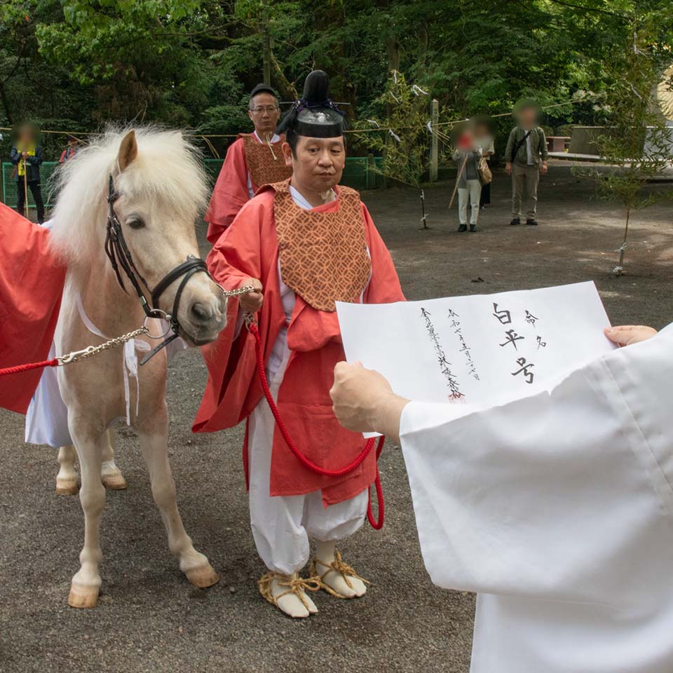 金刀比羅宮 | カブ号の〝神馬としての名前〟は「白平（しろひら）号