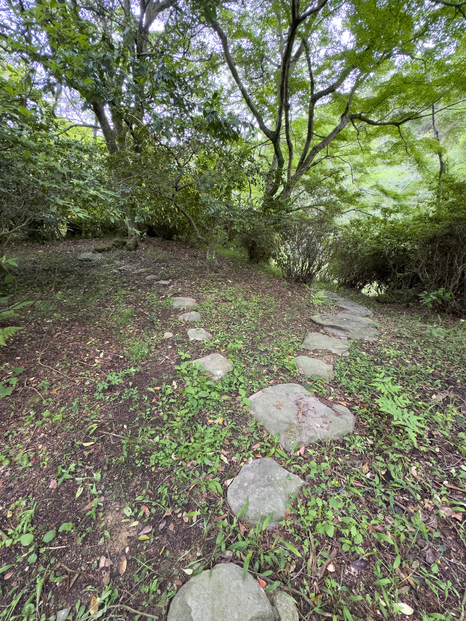 掬翠亭の跡〜飛石（2026年5月4日撮影）